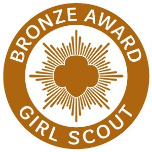 Girl Scout Bronze Award pin