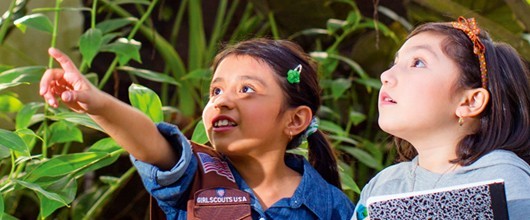 Badges and Journeys in cybersecurity, outdoor adventure, space science, coding, and more! Badges and Journeys in cybersecurity, outdoor adventure, space science, coding, and more!